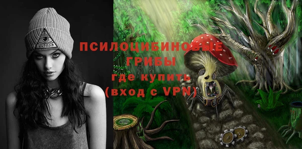 mix Нижний Тагил