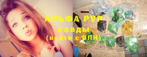 амф Архангельск
